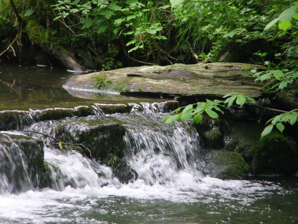 Hartington Walk