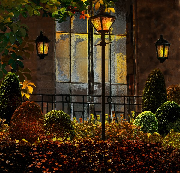 A Patio Garden