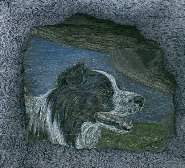 Concho on Slate