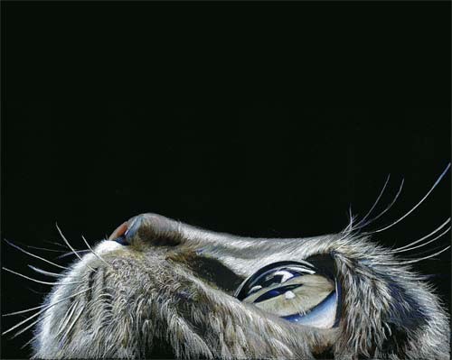 The Look-2
