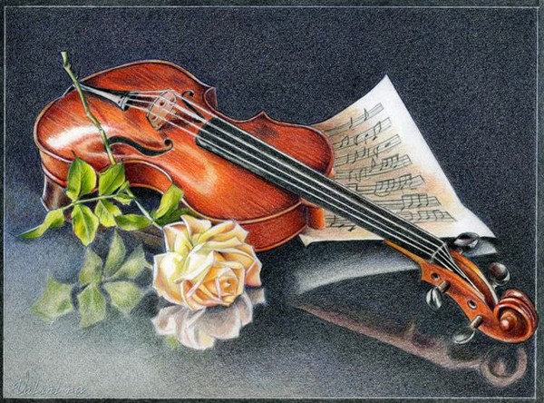 Violin