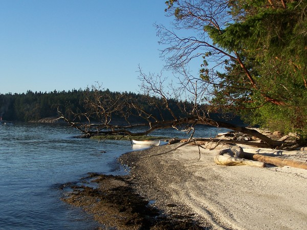 The Beach