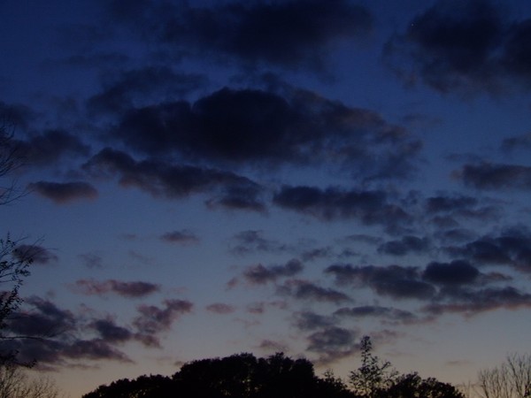 DEEP BLUE