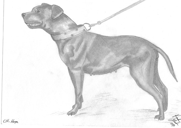 Ch.Hope