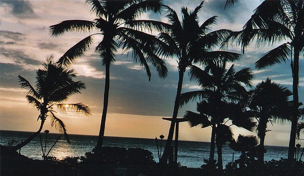 A Hawaiian SunSet