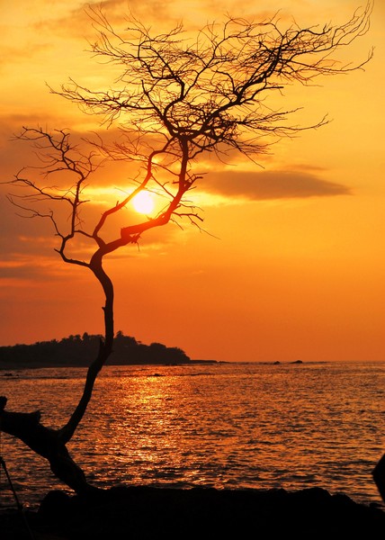 Sunset in Hawai-Big Island
