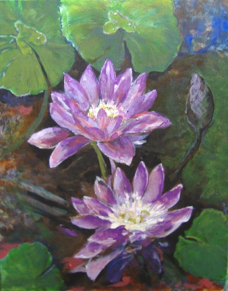 purple dream