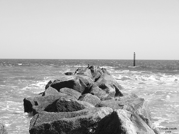 Tybee Shores 2