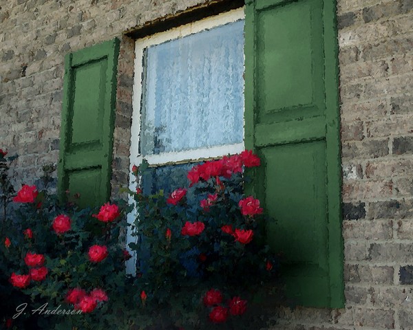 The Window