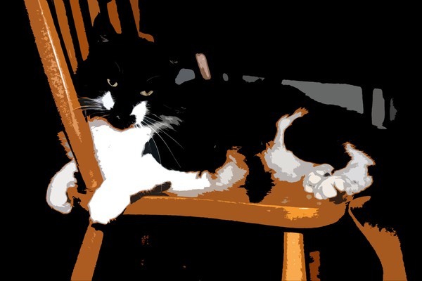 Abstract of Sully