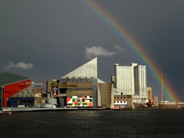 Somewhere Over the Rainbow