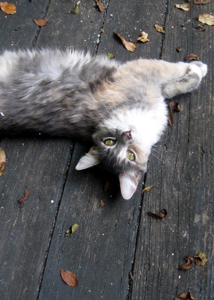 Repose. Photo.