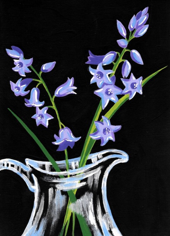 Bluebells On Black