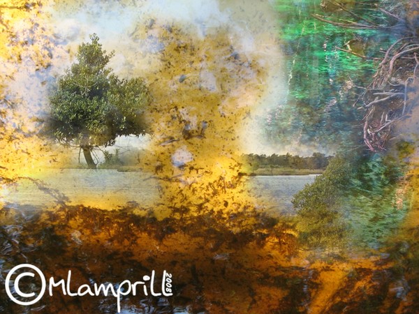 Existence of a tranquil world