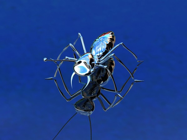 Chromey ant