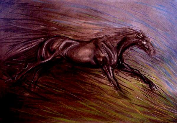 death of a horse