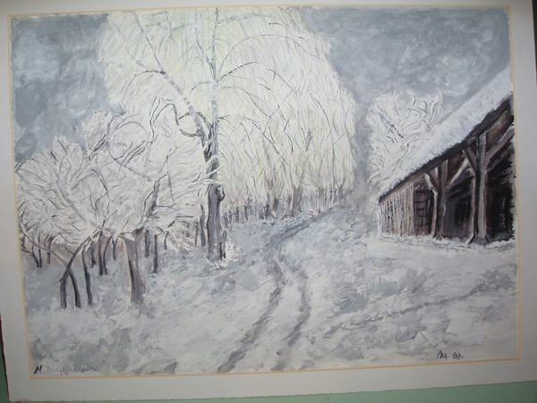 my garden in winter