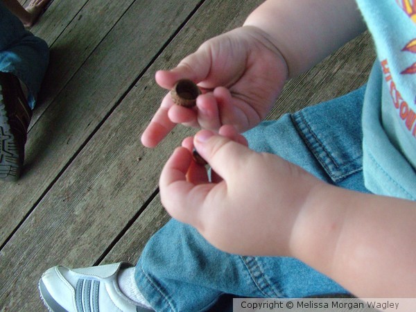 Chunky Little Fingers