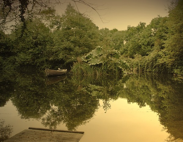 Forgotten lake