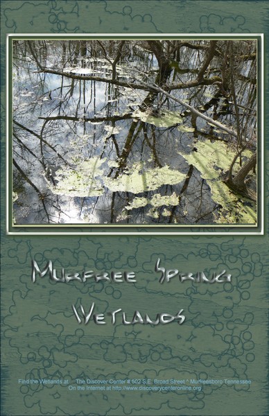 Wetland 2