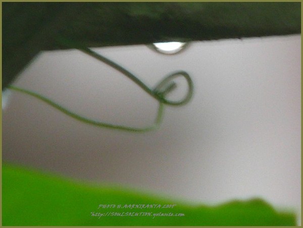 souls..solutions..ABSTRACT