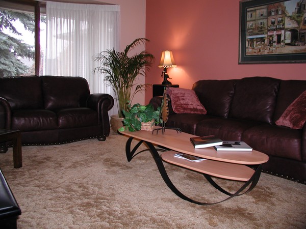 Flowing Wave Coffee Table Situation 2