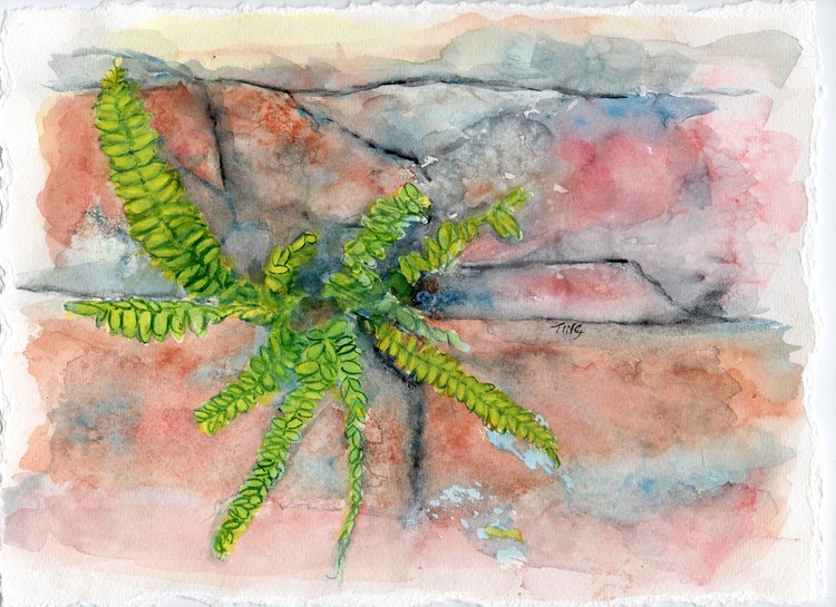 Old Walls with Weeds