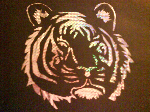 tiger