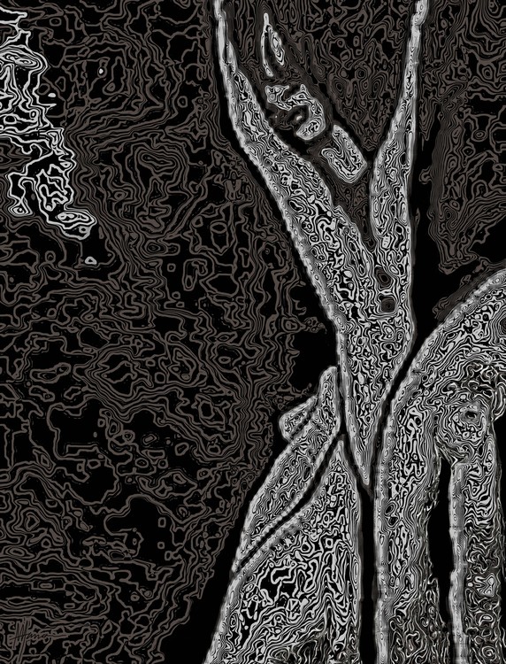 TREES MENS new