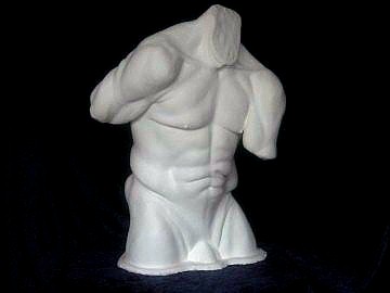 Male Torso