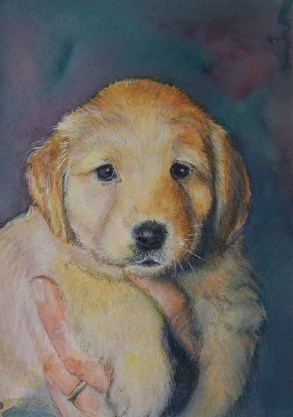 Noel Golden Pup