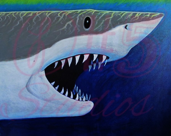 Great White Shark