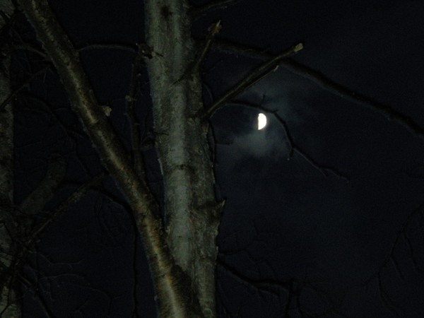 cresent moon