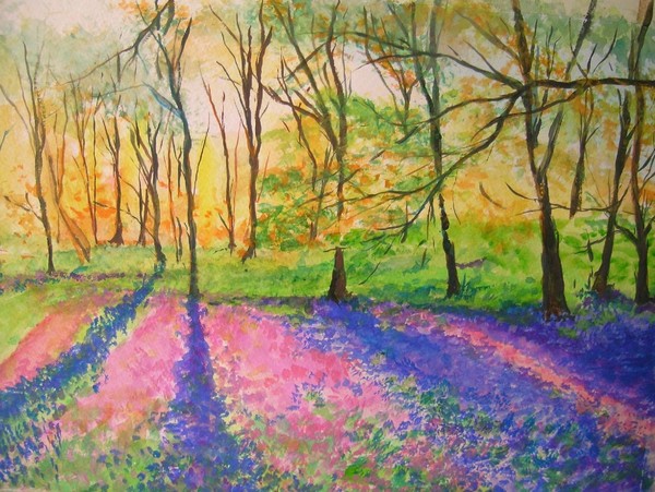 BLUEBELL WOOD