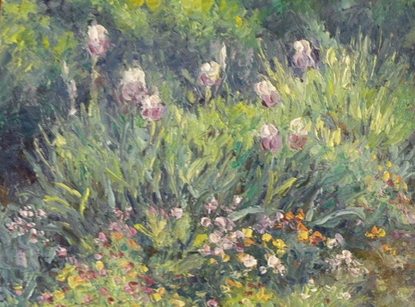 Iris Garden