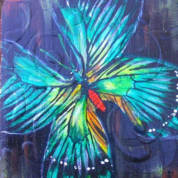Revealing Wings 1
