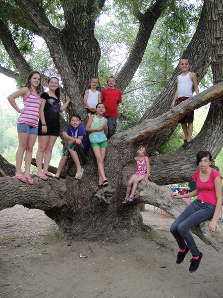 Grand kids in the big tree