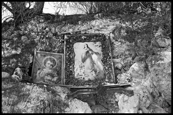 cold blossoms disclosed by tormented devotions