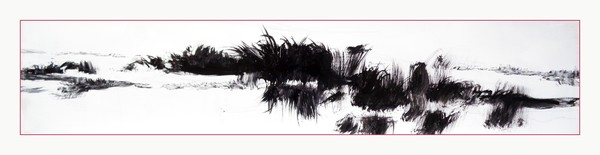 Backwater  Grasses