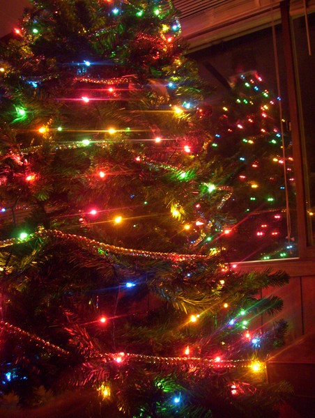christmas tree fun
