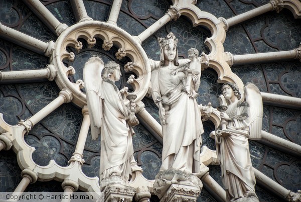 Ladies of Notre Dame