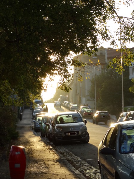 the sunset in the street