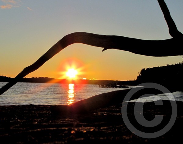 Driftwood sunset too!