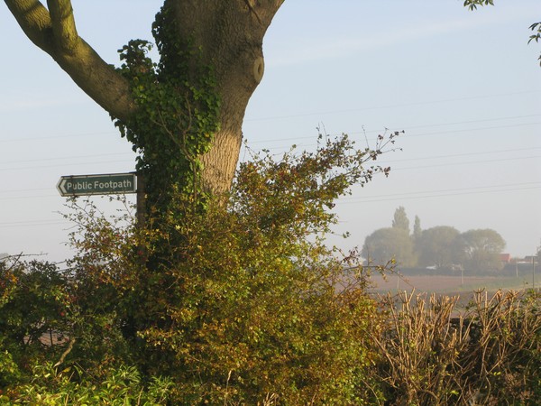 Early morning in Southwell