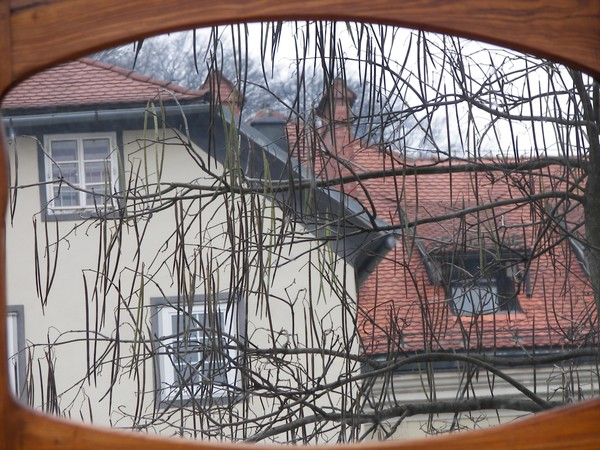 View of my town in da mirror
