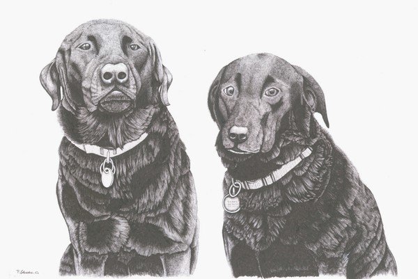 Charlie and Alfie