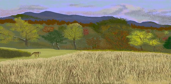 Hill Country Colors