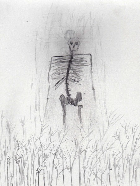 Field of Skeletons