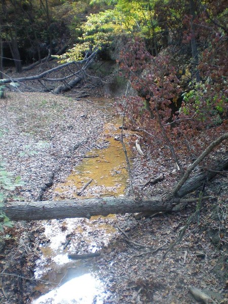 A Starved Stream