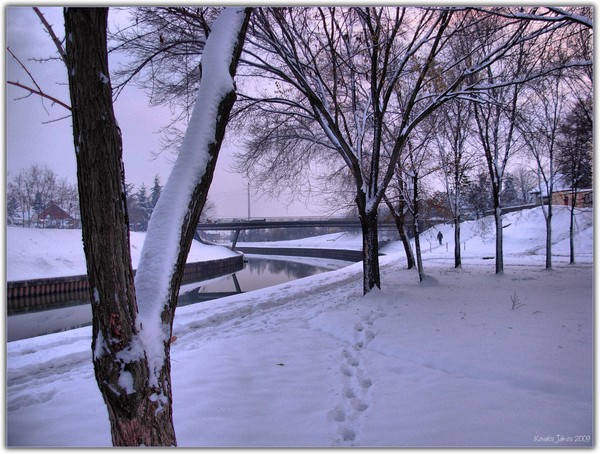 Tracks In The Snow